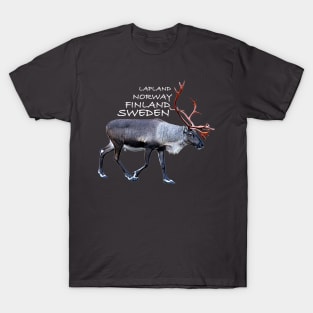 Lapland T-Shirt